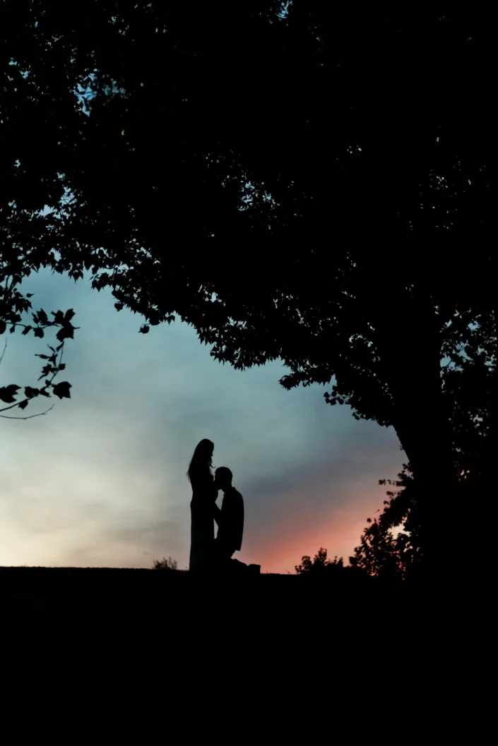 Cuplu în siluetă la apus sub copac, fotografie de nuntă romantică București