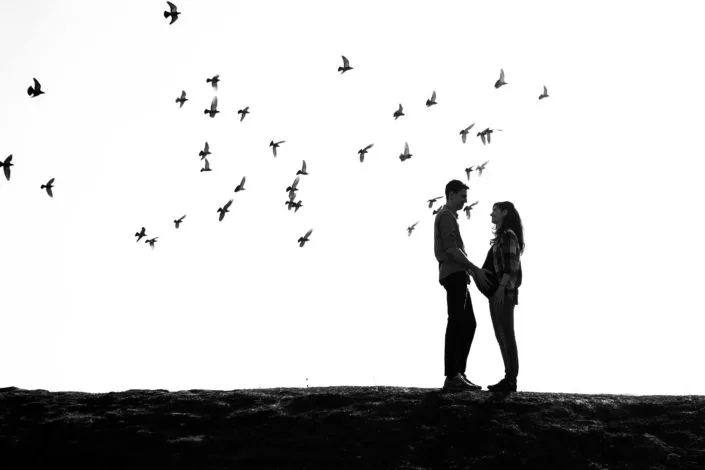Cuplu în silhuetă cu păsări în zbor, ședință foto romantică în aer liber